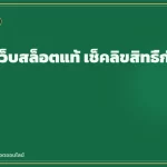 การตรวจสอบเว็บสล็อตด้วยแว่นขยาย