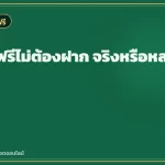 เครดิตฟรีไม่ต้องฝาก จริงหรือหลอก วิธีเช็ค