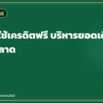 เทคนิคใช้เครดิตฟรี บริหารยอดเดิมพันอย่างฉลาด